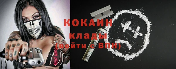 мдпв Киреевск