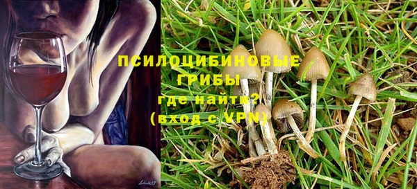 мдпв Киреевск