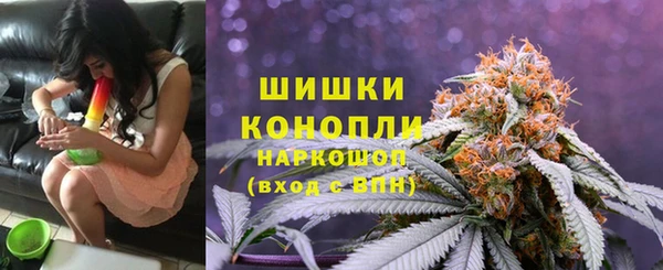 соль ск Козловка