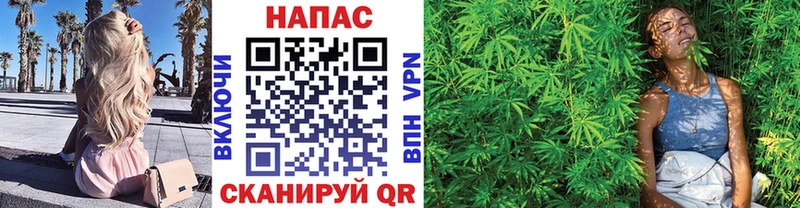 Канабис OG Kush  Урень 